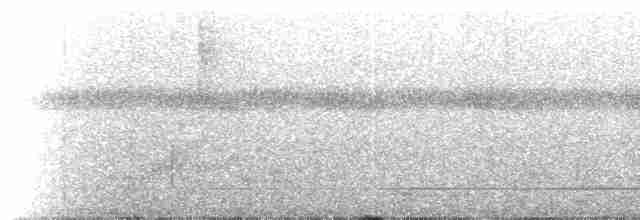 Black-tailed Trogon - ML221794