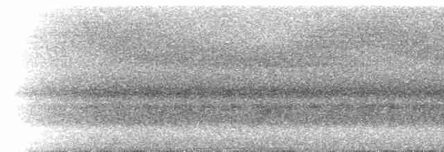 Crested Finchbill - ML221830