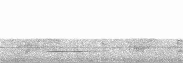 Cinereous Tinamou - ML221920941