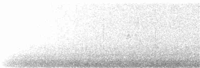Plectrophane à ventre gris - ML221923561