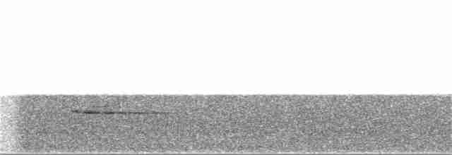 Pullu Çıtkuşu [marginatus grubu] - ML221926541