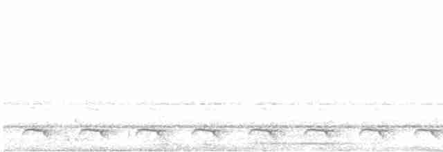 Желтобрюхий трогон - ML222016341