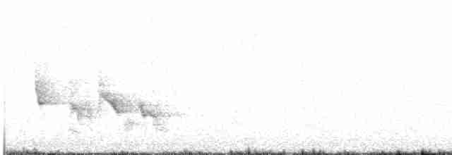 White-eyed Vireo - ML222054361