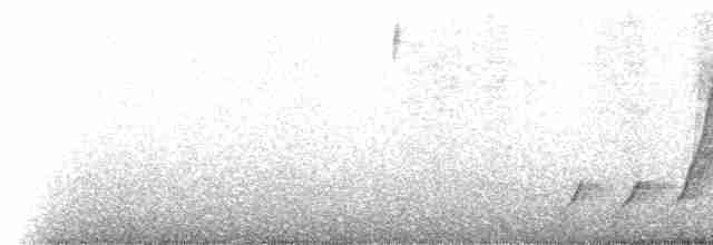 Tit-like Dacnis (petersi/bella) - ML222066