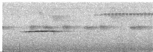 Viréon à calotte rousse (groupe ochraceiceps) - ML222110311