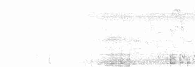 Риджвея сивоголова - ML222185051