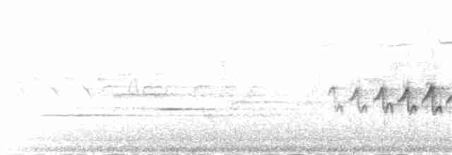 Миртовый певун (coronata) - ML22223411