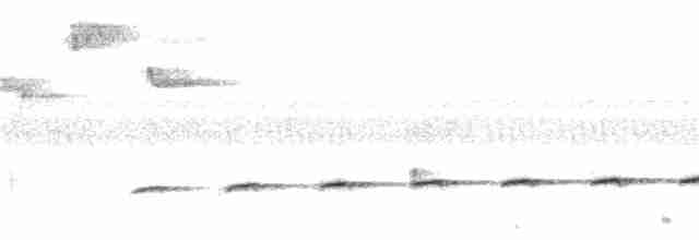 Филиппинская дронговая кукушка - ML222249711