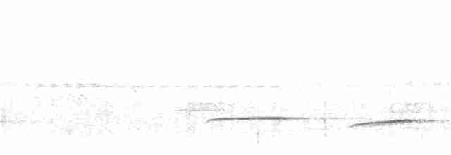Кустарниковая кукушка (sepulcralis/everetti) - ML222254101