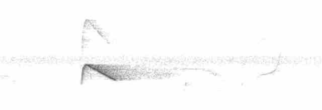 White-winged Cuckooshrike - ML222254701