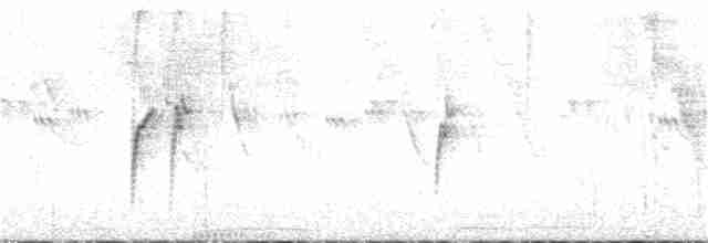 Зернолуск чорногорлий - ML222304011