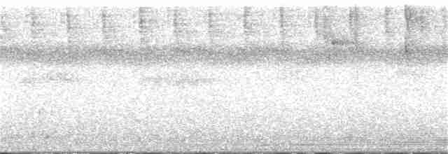 Белокрылый бекард - ML222304151