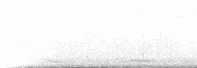 Boz Kanatlı Borazankuşu (crepitans) - ML222346