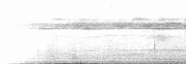 Амазонский древолаз (certhia) - ML222361