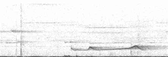 Silky-tailed Nightjar - ML222460911