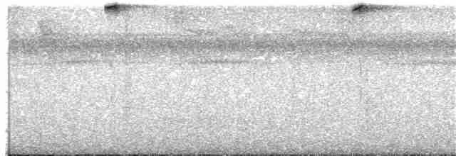 Пестрохвостый колибри - ML222502151