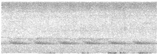 Малайская лесная куропатка - ML222530651
