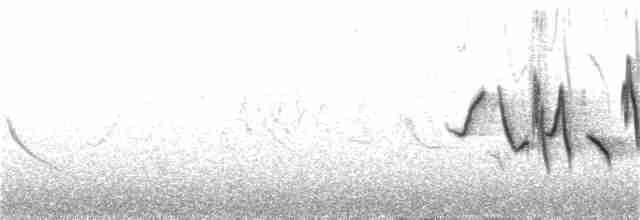Черногрудая красношейка - ML222546821