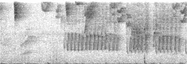 Ak Kanatlı Çalı Serçesi (leucopterus/dresseri) - ML222623981