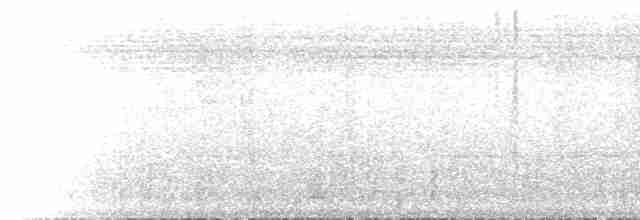 Grimpar barré (certhia) - ML222702
