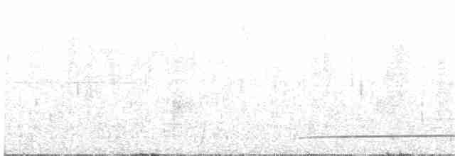 White-necklaced Partridge - ML222831691