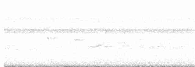 Прерийный кроншнеп - ML222859771