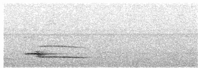 Little Tinamou - ML222863741