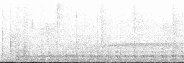 Slaty-tailed Trogon - ML22291181