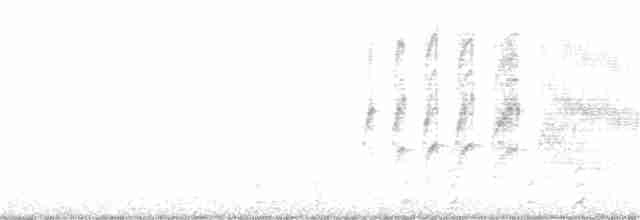 rorýs bělohrdlý - ML222921041