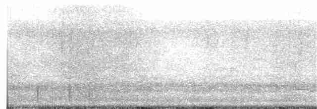 Бруант білобровий (підвид nuttalli) - ML222935671