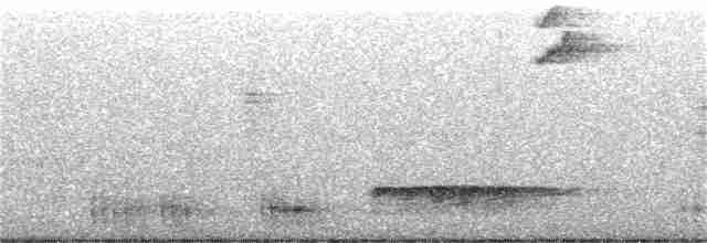 Streifenbrust-Ameisendrossel - ML222986141