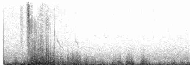 Шишкар ялиновий - ML222989161