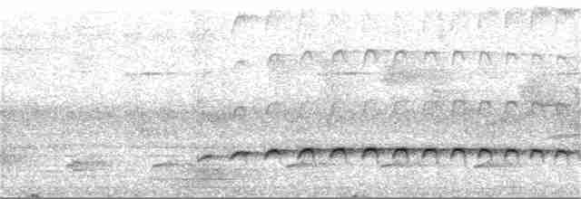 Tüpfelkronen-Ameisenvogel - ML223014061