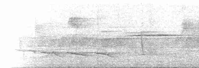 Gray-throated Babbler - ML223051
