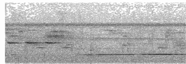 Variegated Tinamou - ML223193811