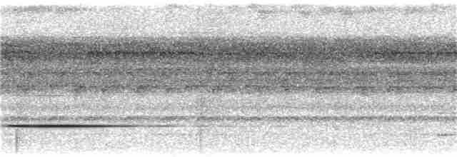 Tinamou de Bartlett - ML223292881