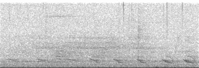 Black-tailed Trogon - ML223304271