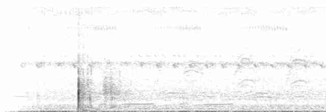 anhinga australská - ML223316