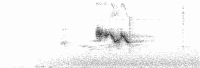 Gray-crowned Yellowthroat - ML223332661