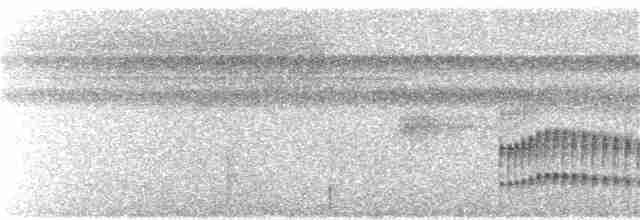 Todirostre zostérops - ML223361461