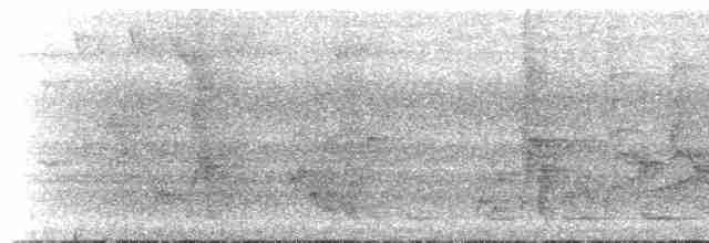Kestane Sırtlı Serçe Baykuşu - ML223440