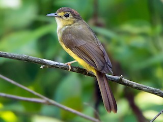 Порно с орыс большие жопы