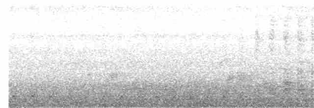 Цейлонский серый ток - ML223457081