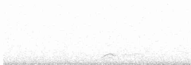 Black-crowned Night Heron - ML223469821