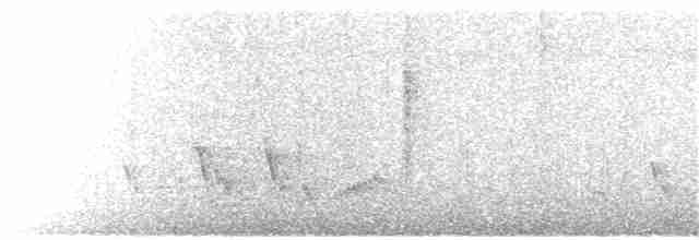 Colibri trompeur - ML223476141