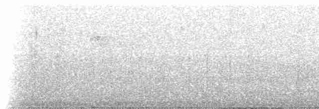 Дзьобак чорногузий x карміновий - ML223490