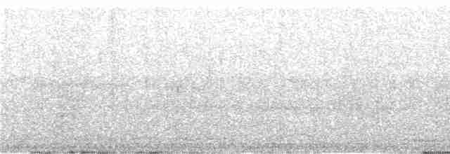 Дзьобак чорногузий x карміновий - ML223492
