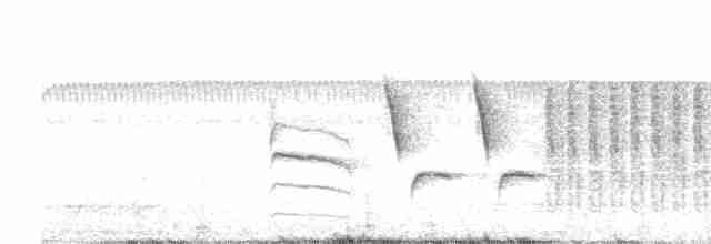 Troglodyte de Zapata - ML223589551
