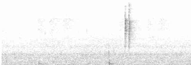 Gray-bellied Tesia - ML223602581