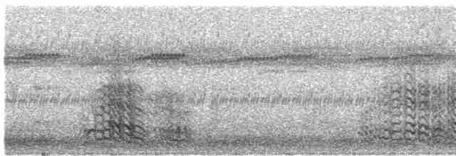 Gelbkopfamazone - ML223820491